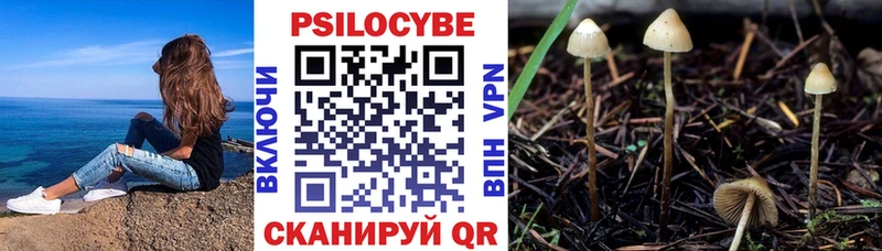 Галлюциногенные грибы ЛСД  Купить закладки  Данилов 